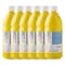 6 Pack: Soft Body Acrylic by Artist's Loft® 32oz.